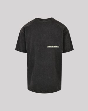 Alternative view of STEREO TEE START