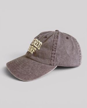 Alternative view of SURF CAP BROWN